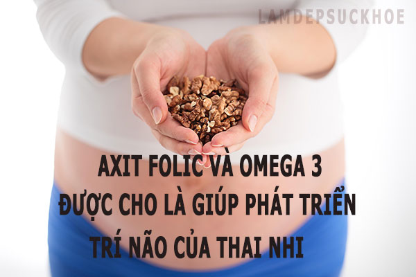 an-qua-oc-cho-giup-thai-nhi-phat-trien-tri-nao-ldsk